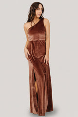 Tatiana Velvet One Shoulder Maxi Dress | Baltic Born Desert Rose