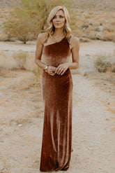 Tatiana Velvet One Shoulder Maxi Dress | Baltic Born Bronze