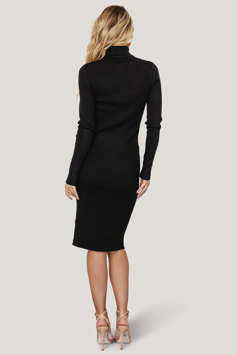 Caldwell Ribbed Turtleneck Midi Dress | Baltic Born Black