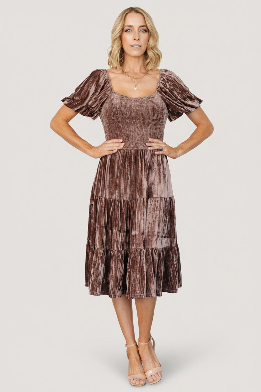 Fay Velvet Midi Dress | Baltic Born Cocoa