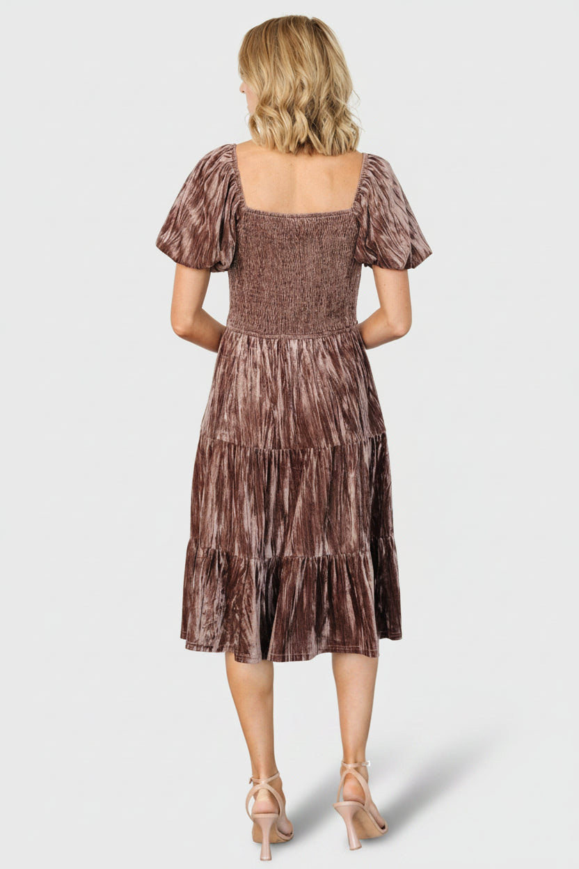 Fay Velvet Midi Dress | Baltic Born Cocoa