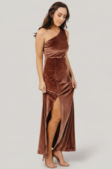 Tatiana Velvet One Shoulder Maxi Dress | Baltic Born Desert Rose