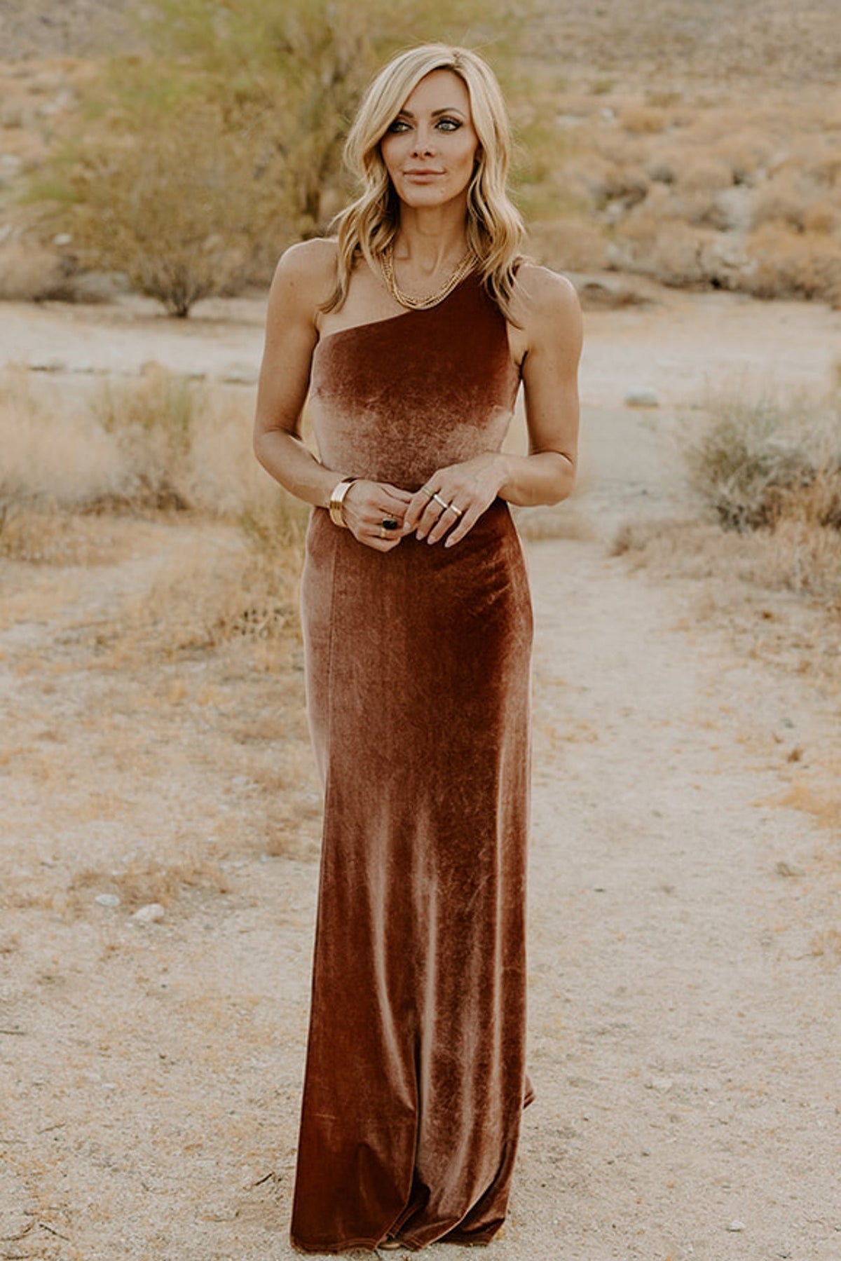 Tatiana Velvet One Shoulder Maxi Dress | Baltic Born Bronze