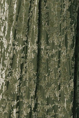 Fabric Swatch - Everley Velvet | Baltic Born Dark Sage
