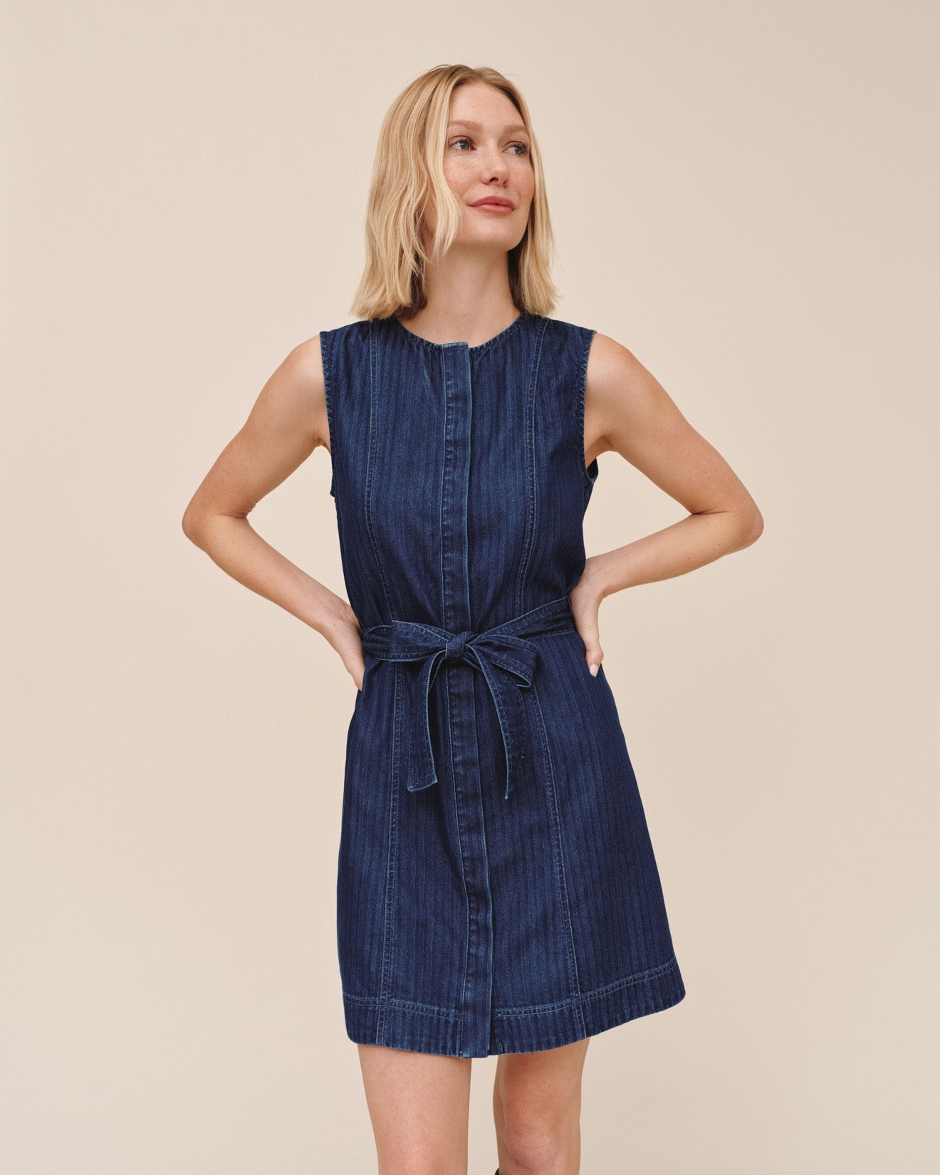 Bella Dahl Sleeveless Seamed Shirt Dress - Herringbone Wash